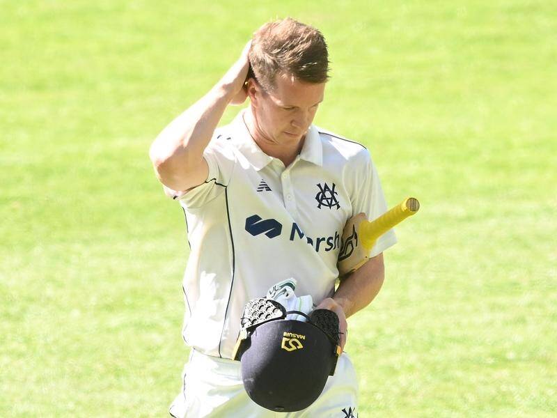 Sam Harper smashed an unbeaten 101 for Victoria against South Australia at Adelaide Oval. (James Ross/AAP PHOTOS)