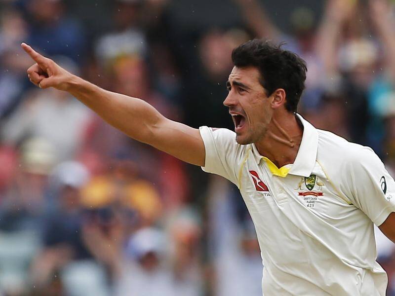 Mitchell Starc says he will happily play alongside Australia's banned Test trio when their bans end.