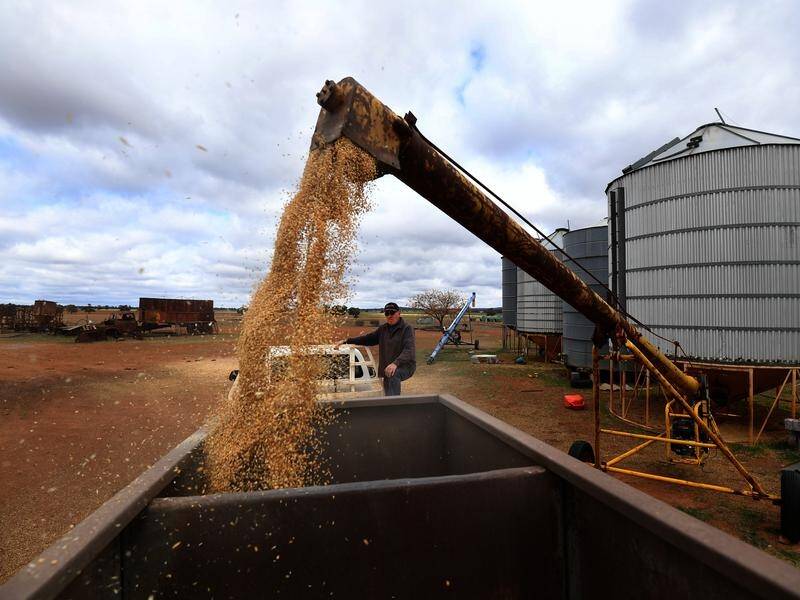 Skyrocketing fuel and fertiliser prices are cutting into farmer's profits, a new report has found.