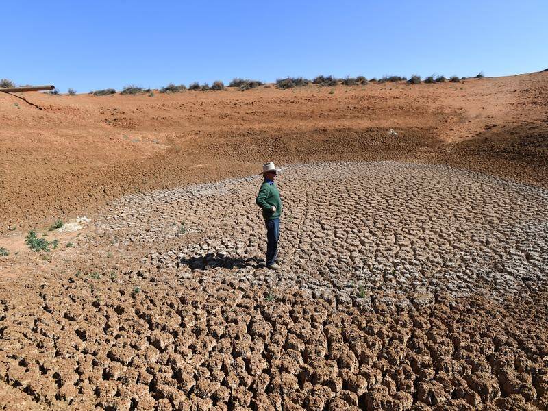 For drought-stricken farmers in parts of NSW, recent bursts of rain are not enough.
