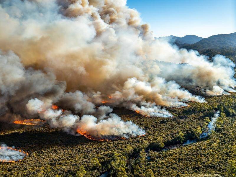 Some 60,000 hectares of bushland across Tasmania has been ravaged by dozens of fires.