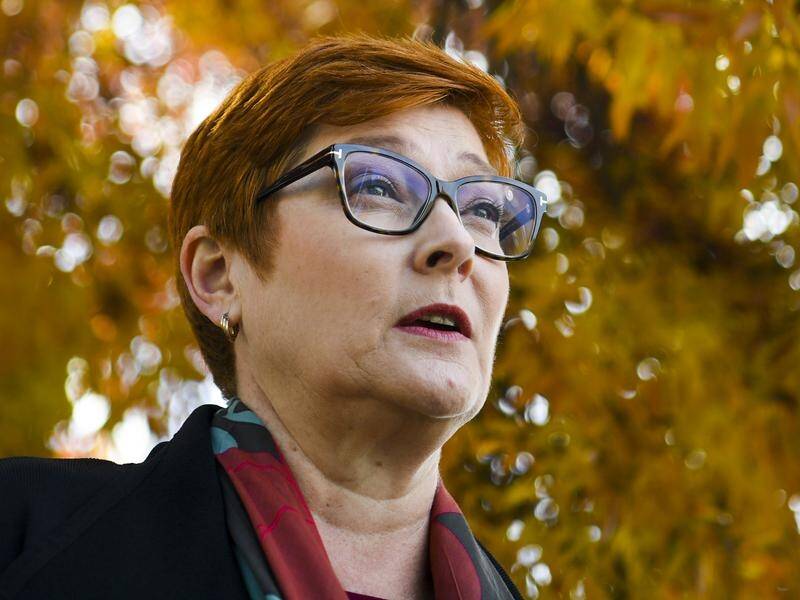 Foreign Minister Marise Payne is not backing away from the threat of jail for travellers from India.