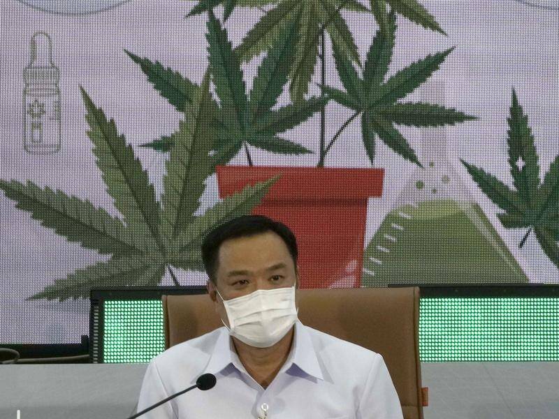 Thais won't need a permit to grow cannabis at home, Public Health Minister Anutin Charnvirakul says.