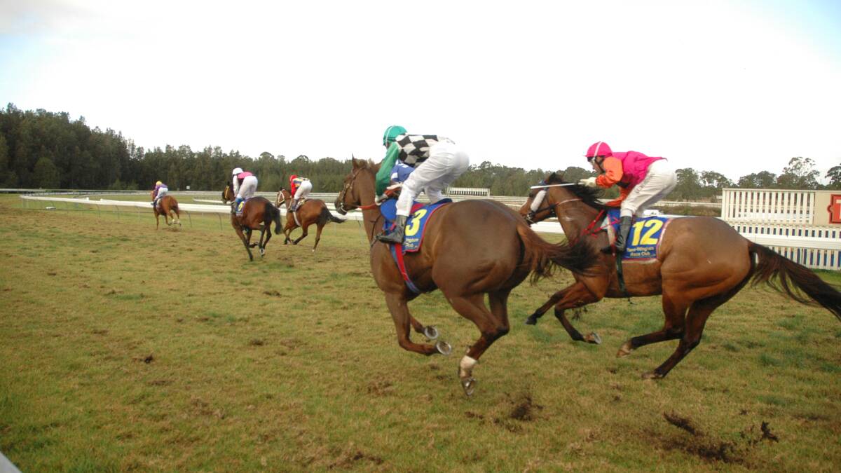 Promising gallopers on comeback trail at Taree races