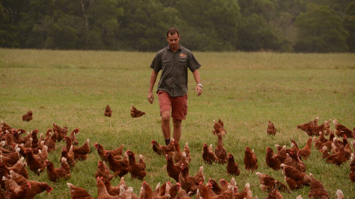 Manning Valley Free Range Eggs owner Peter Matuszny
