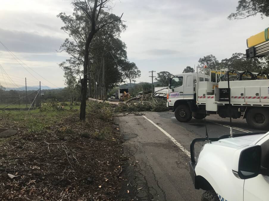 Traffic delays on Wingham Road caused by a fallen tree and power lines near the intersection of Cedar Party Road, Taree.