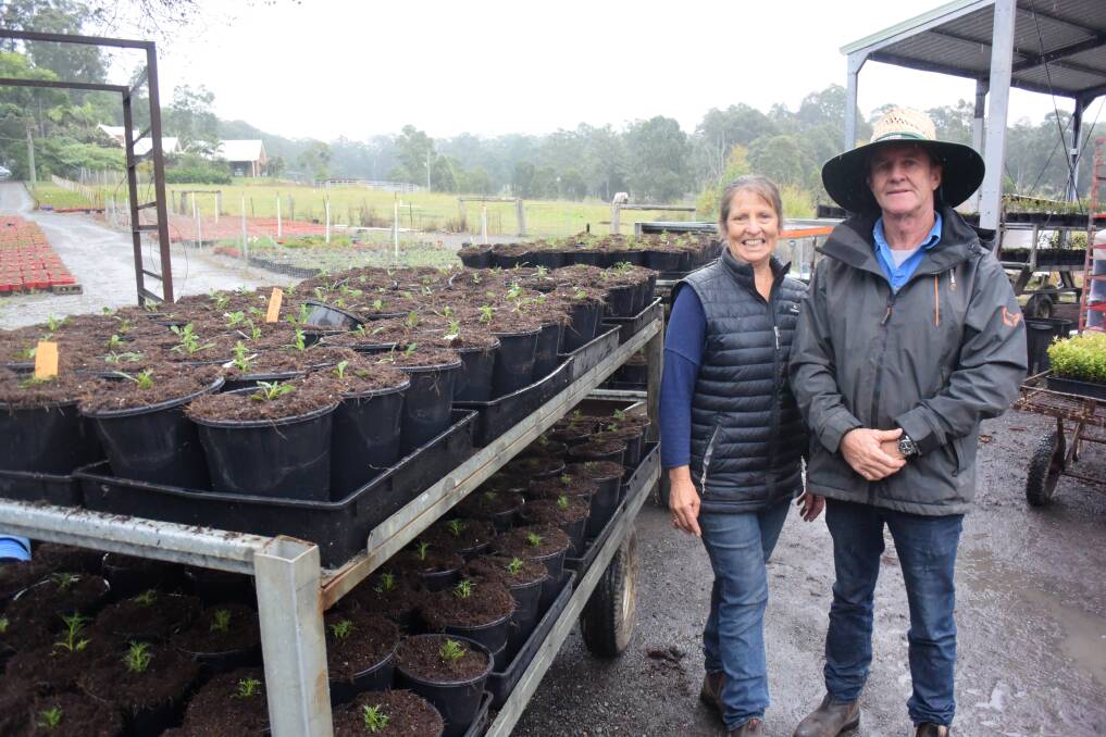 Leah and Bernard Hunt have come through turbulent times at Parkland Nursery in Tinonee. Photo: Rob Douglas.