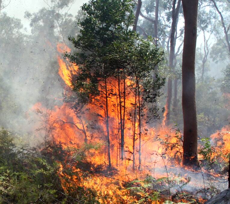 NSW Police Force has warned residents about the dangers of deliberately lit or controlled fires. File photo.