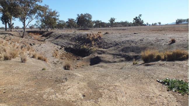 Farmers have struggled through the drought in NSW.