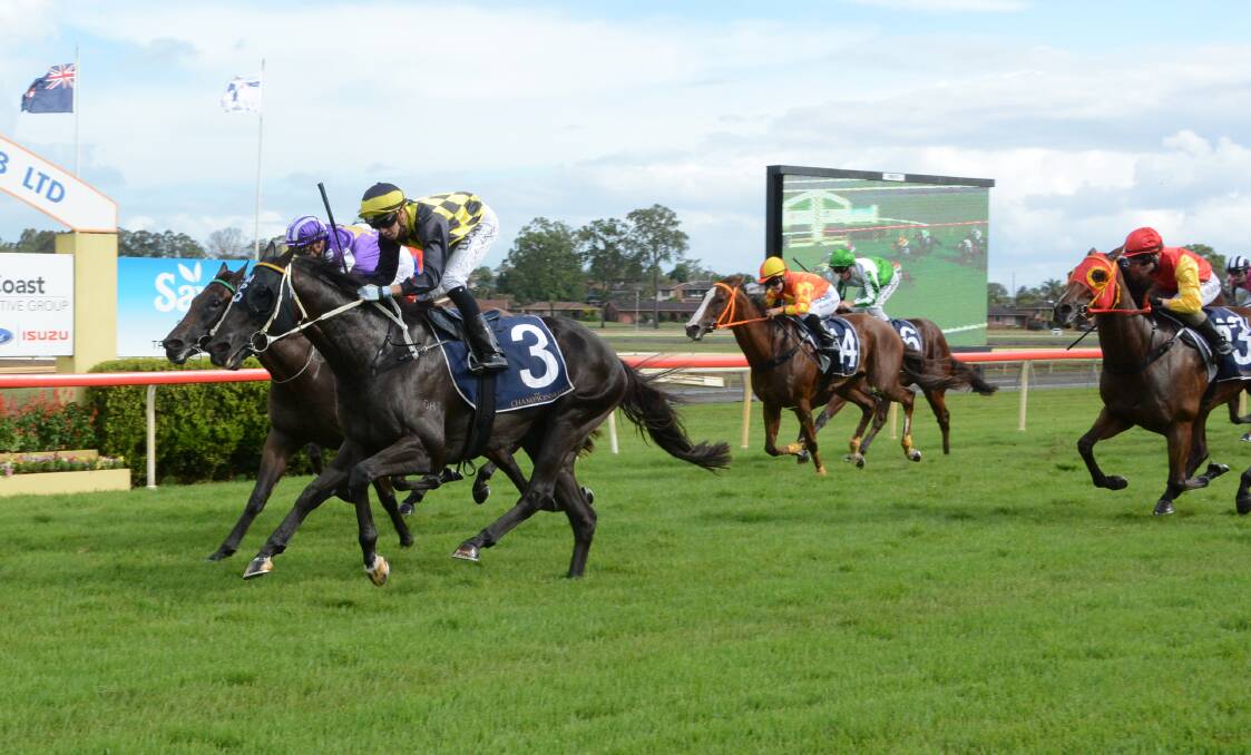 Cogliere, ridden by Andrew Adkins, won the Mid North Coast Country Championship Qualifier in Taree in 2017.
