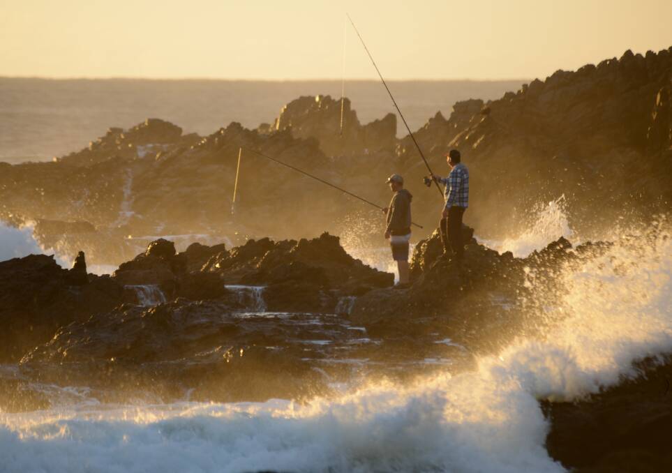Calmer weather this week meant boat anglers could head back out to sea to score some big catches.