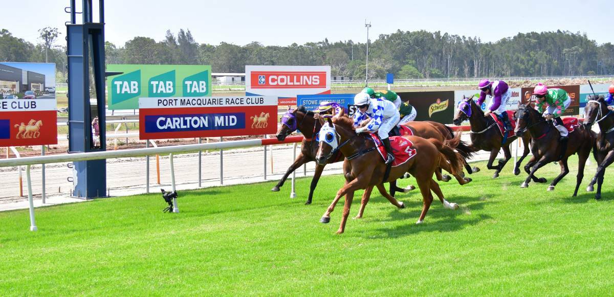 Chamisal, pictured racing at Port Macquarie Race Club's January 10 meet, could take his place in the $150,000 heat of the Country Championships at Taree on February 23. Photo: Peter Daniels.