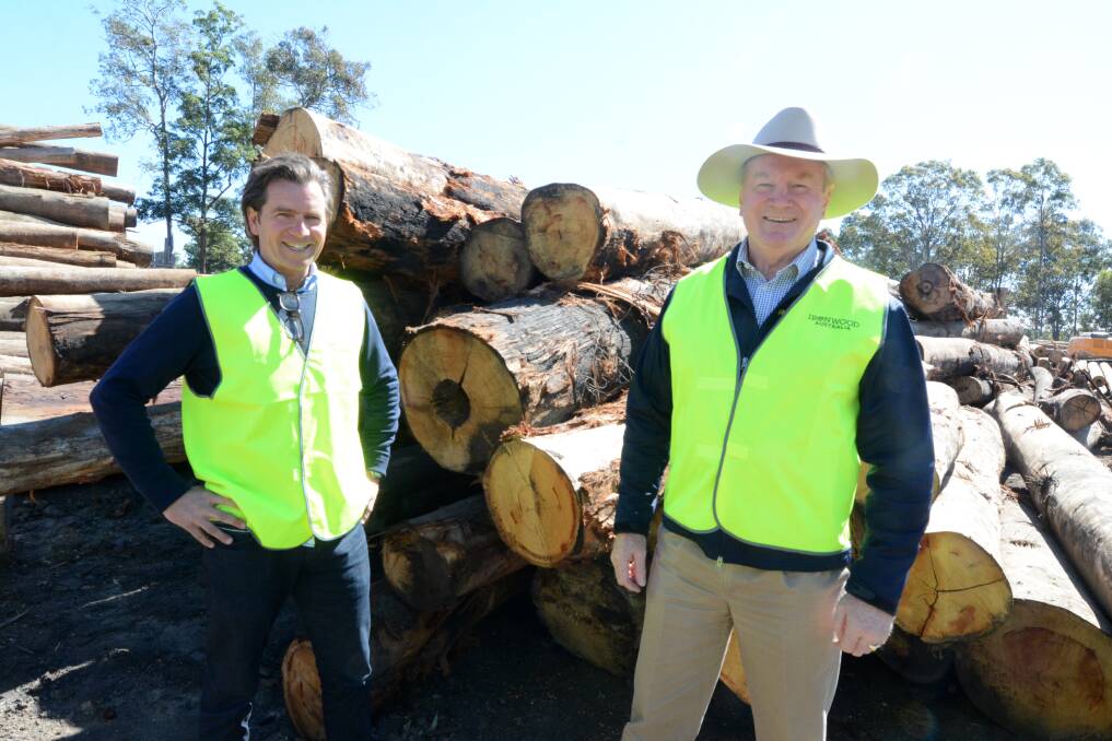 Resourceful: Ironwood Australia general manager Ian Wingrove and Member for Myall Lakes Stephen Bromhead with a pile of burnt timber logs. Photo: Scott Calvin. 
