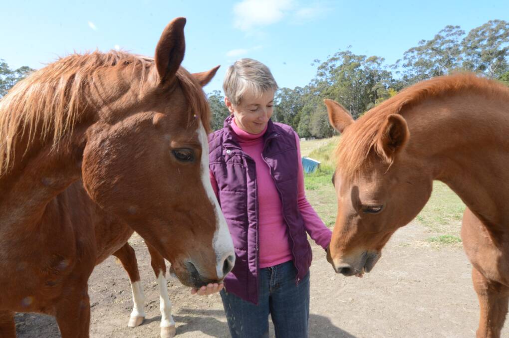 Feeding time: Di Denton with her horses at her Diamond Beach property. Photo: Scott Calvin.