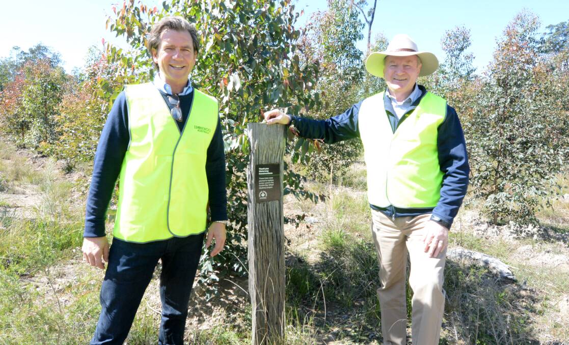 Growth: Mr Wingrove and Mr Bromhead at the forest plantation site, situated on the grounds of the timber mill. For every tree used, one is planted in its place. Photo: Scott Calvin.