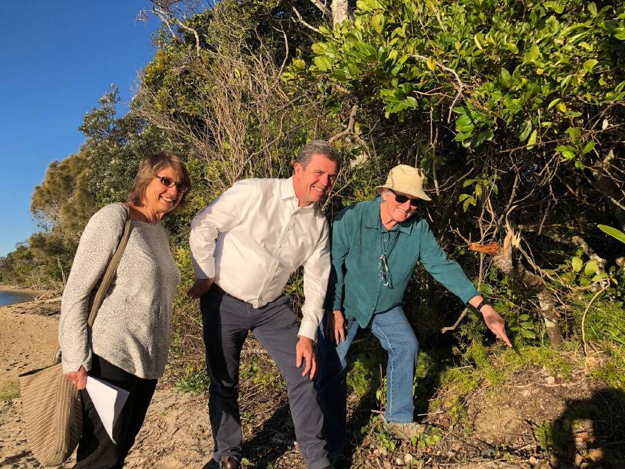 Manning Coastcare Group coordinator Pieta Laing, Member for Lyne Dr David Gillespie and volunteer Barbara Fogarty inspect the invasive fern at Manning Point. 