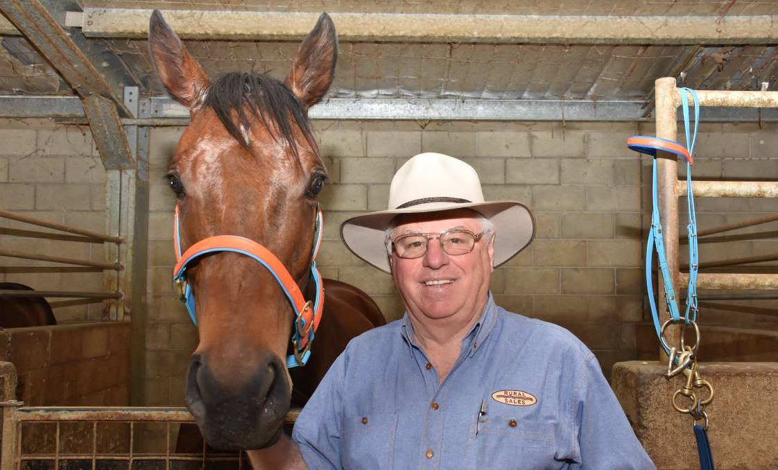 Hoping for sunshine: Port Macquarie trainer Tas Morton said a softer track at Taree will better suit his gallopers in today's meeting. Photo: Port News.