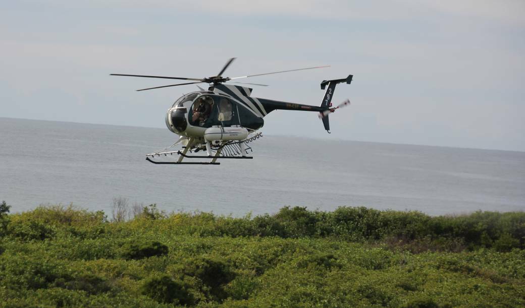 Aerial spraying for bitou bush was carried out at Old Bar last week. File photo.