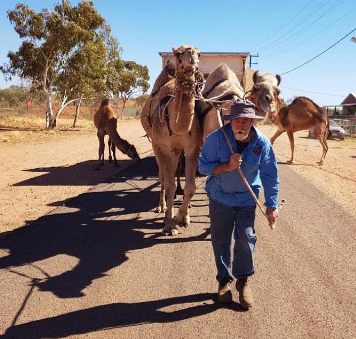 Leading from the front: Barry Watts steering the camels at the start of the Shar Jem Gypsy Camel Trek. They hope to be back before the end of the year. Photo: supplied.