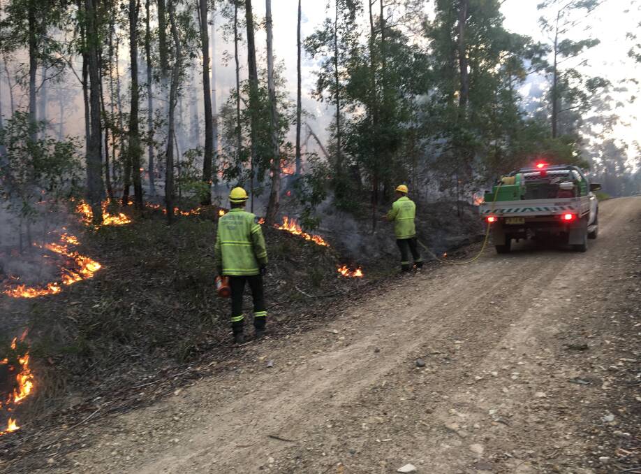 Forestry Corporation staff conduct a hazard reduction burn in Bulls Ground State Forest near Herons Creek. Photo: Shane Dickinson.