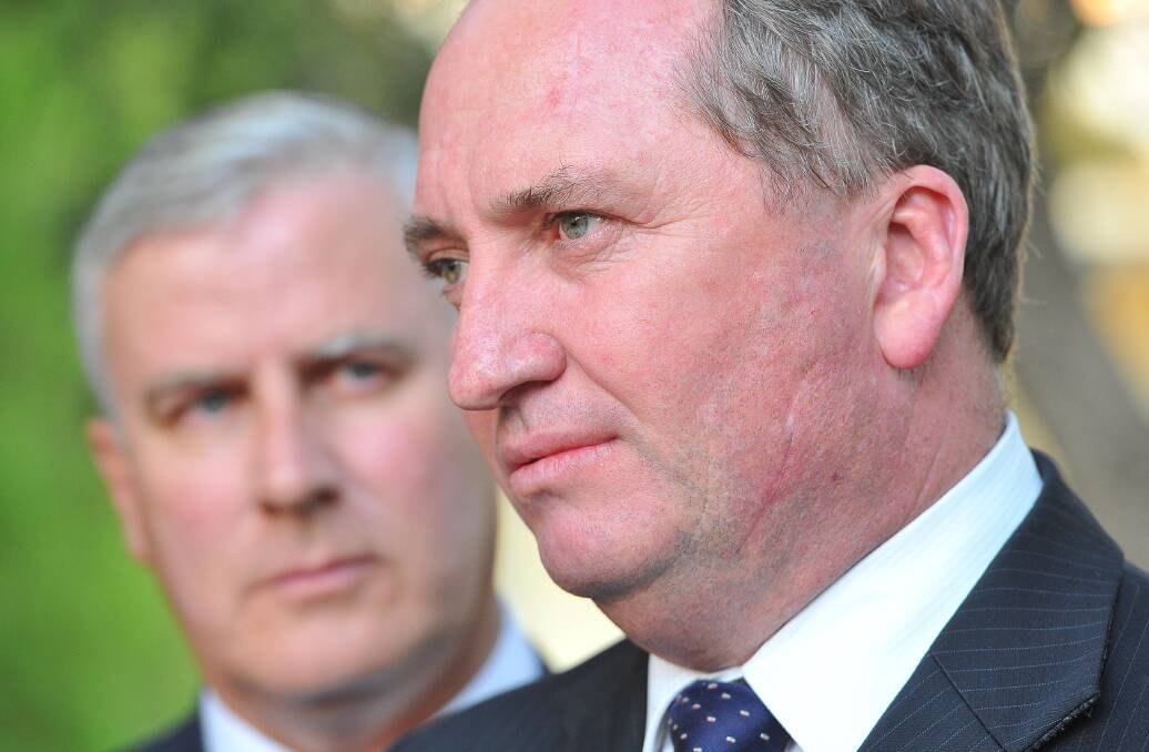 Deputy Prime Minister Michael McCormack took over the leadership from a scandal-hit Barnaby Joyce 12 months ago.