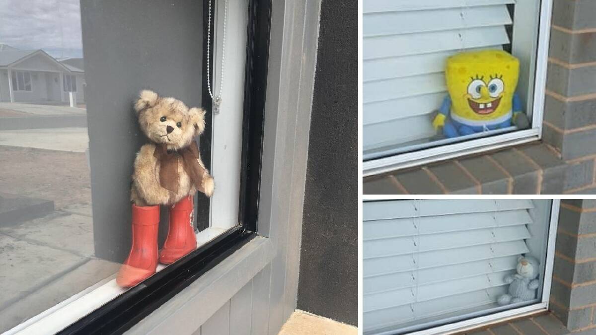 Here's why toy bears popping up in windows