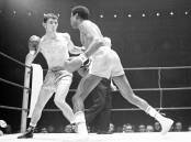 LEGEND: Boxing legend Johnny Famechon in the ring with Cuban-born Spaniard Jose Legra, right. Photo: Frank Tewkesbury/AP