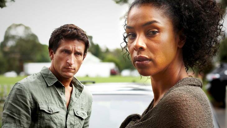 Packing a punch ... Hector (Jonathan LaPaglia) and Aisha (Sophie Okonedo) in The Slap.