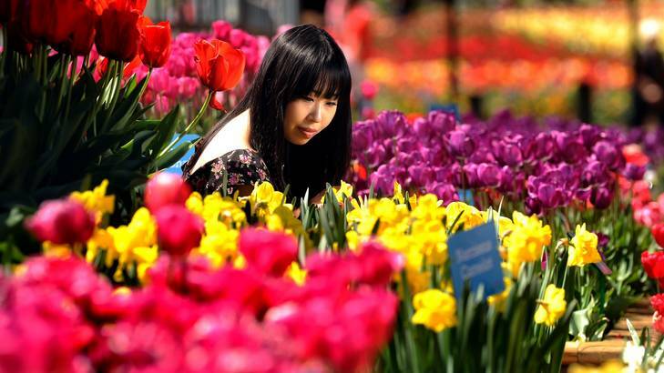 International finance student at the Australian National University Michelle Yao from China taking in the sights at Canberra's Floriade.