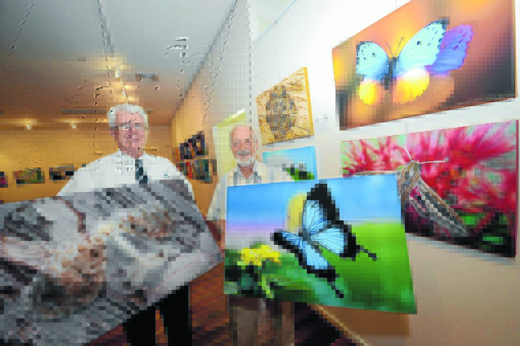 Mayor Paul Hogan and photographer Jim Frazier with the two works which have been won by visitors to Jim's Lepidoptera exhibition at Manning Regional Art Gallery. The exhibition ends on Sunday. The photo on the left of a Lacewing was the subject of a guessing competition, with 17 people guessing correctly.