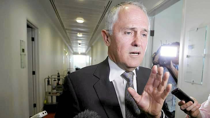 Malcolm Turnbull: won't replace Tony Abbott. Photo: Alex Ellinghausen