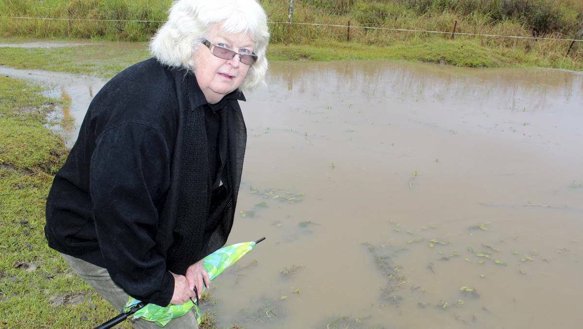 AT WITS END: Carol Newman (above) plans to take the RMS to court over flooding that is destroying her Bulahdelah property 