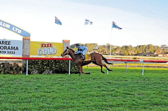 Broadmeadow apprentice Alex Stokes races clear of the field to win the Taree Motorama-XXXX Gold Taree Cup at Bushland Drive.