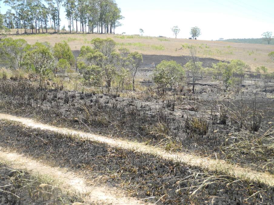 The blackened, smouldering landscape at Sunset Avenue after a fire raged out of control in Wingham.